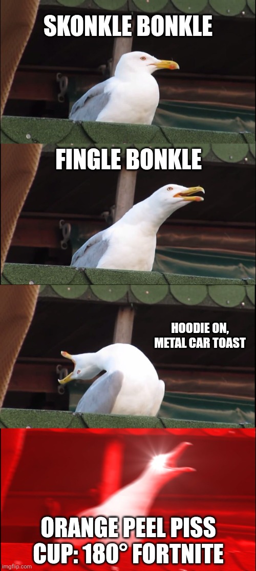 Yeah fellas keep breaking it | SKONKLE BONKLE; FINGLE BONKLE; HOODIE ON, METAL CAR TOAST; ORANGE PEEL PISS CUP: 180° FORTNITE | image tagged in memes,inhaling seagull | made w/ Imgflip meme maker