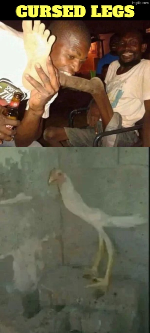 Cursed Legs | Cursed legs | image tagged in cursed images,legs,chickens,black guy,unsee juice,drink bleach | made w/ Imgflip meme maker