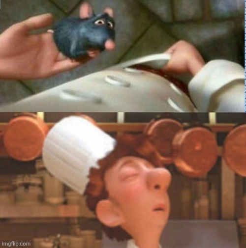 rat | image tagged in rat | made w/ Imgflip meme maker