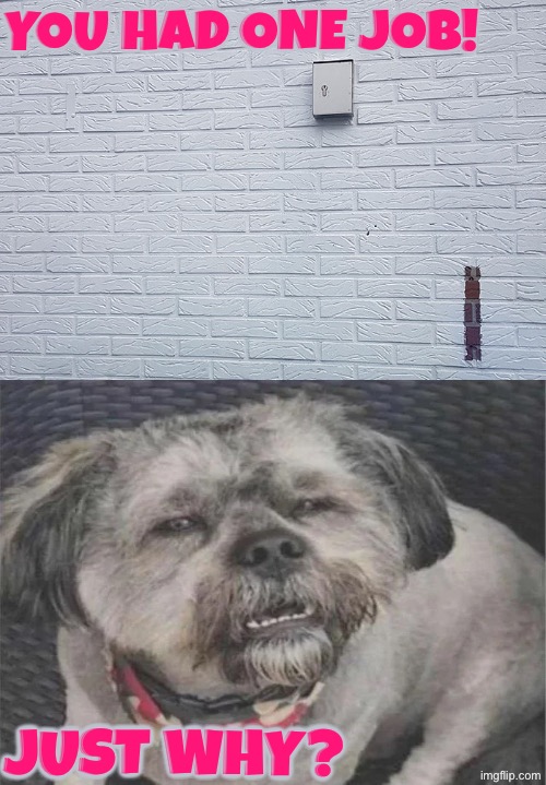 Why leave that spot bare? OCD TRIGGER | You had one job! Just why? | image tagged in you had one job,ocd,triggered,just why,reactions,fail | made w/ Imgflip meme maker