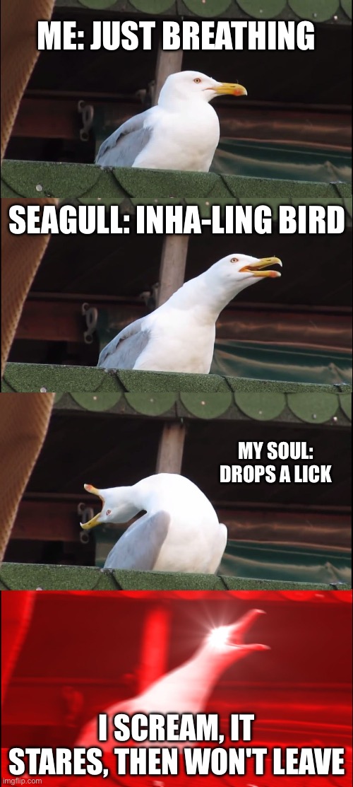 if you just type emojis it tweaks out | ME: JUST BREATHING; SEAGULL: INHA-LING BIRD; MY SOUL: DROPS A LICK; I SCREAM, IT STARES, THEN WON'T LEAVE | image tagged in memes,inhaling seagull | made w/ Imgflip meme maker