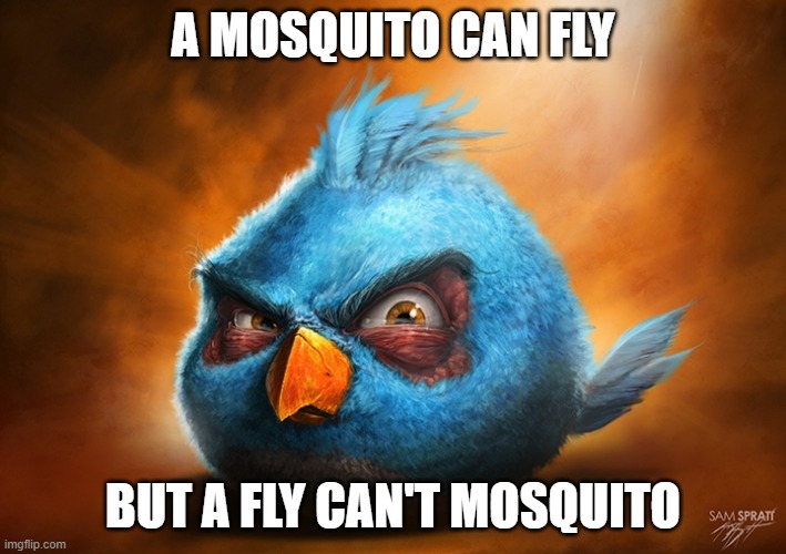 Einstein moment | a mosquito can fly; but a fly can't mosquito | image tagged in angry birds blue,memes,funny | made w/ Imgflip meme maker