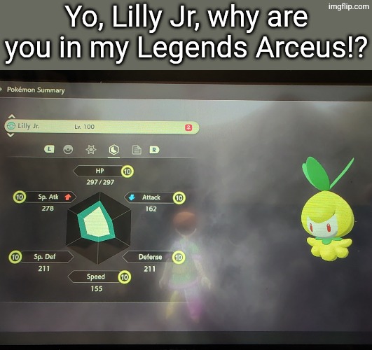 She's here, she's in Legends Arceus! | Yo, Lilly Jr, why are you in my Legends Arceus!? | image tagged in pokemon,lilly jr | made w/ Imgflip meme maker