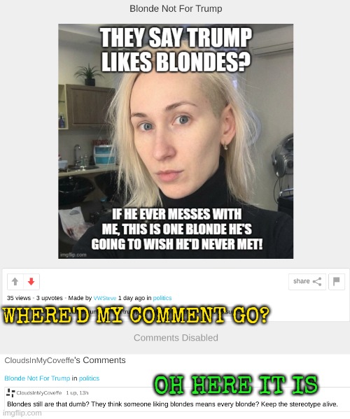 They/Them must have forgotten do disable comments on that one that day | Where'd my comment go? Oh here it is | image tagged in screenshot_20260610_205003 png | made w/ Imgflip meme maker