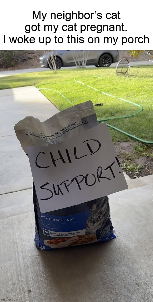 My neighbor’s cat got my cat pregnant | My neighbor’s cat got my cat pregnant.
I woke up to this on my porch | image tagged in funny,memes,funny memes | made w/ Imgflip meme maker