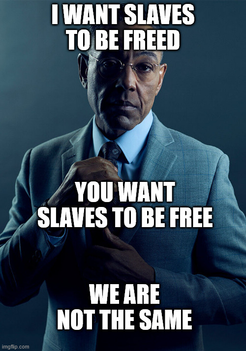 We are not the same. | I want slaves to be freed; You want slaves to be free; We are not the same | image tagged in gus fring we are not the same | made w/ Imgflip meme maker