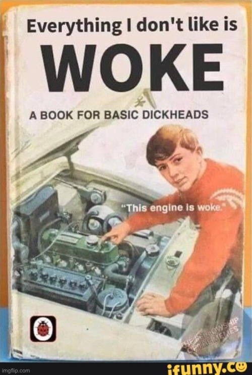 image tagged in everything i don't like is woke | made w/ Imgflip meme maker