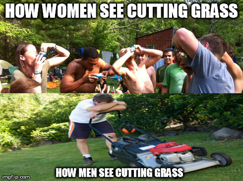 Cutting grass | HOW WOMEN SEE CUTTING GRASS HOW MEN SEE CUTTING GRASS | image tagged in cutting grass,party | made w/ Imgflip meme maker