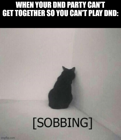 Sobbing cat | When your dnd party can't get together so you can't play dnd: | image tagged in sobbing cat | made w/ Imgflip meme maker