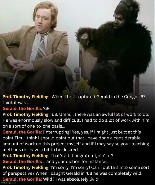 Historically Accurate | image tagged in img_6238 jpeg,accurate,gorilla,professor | made w/ Imgflip meme maker