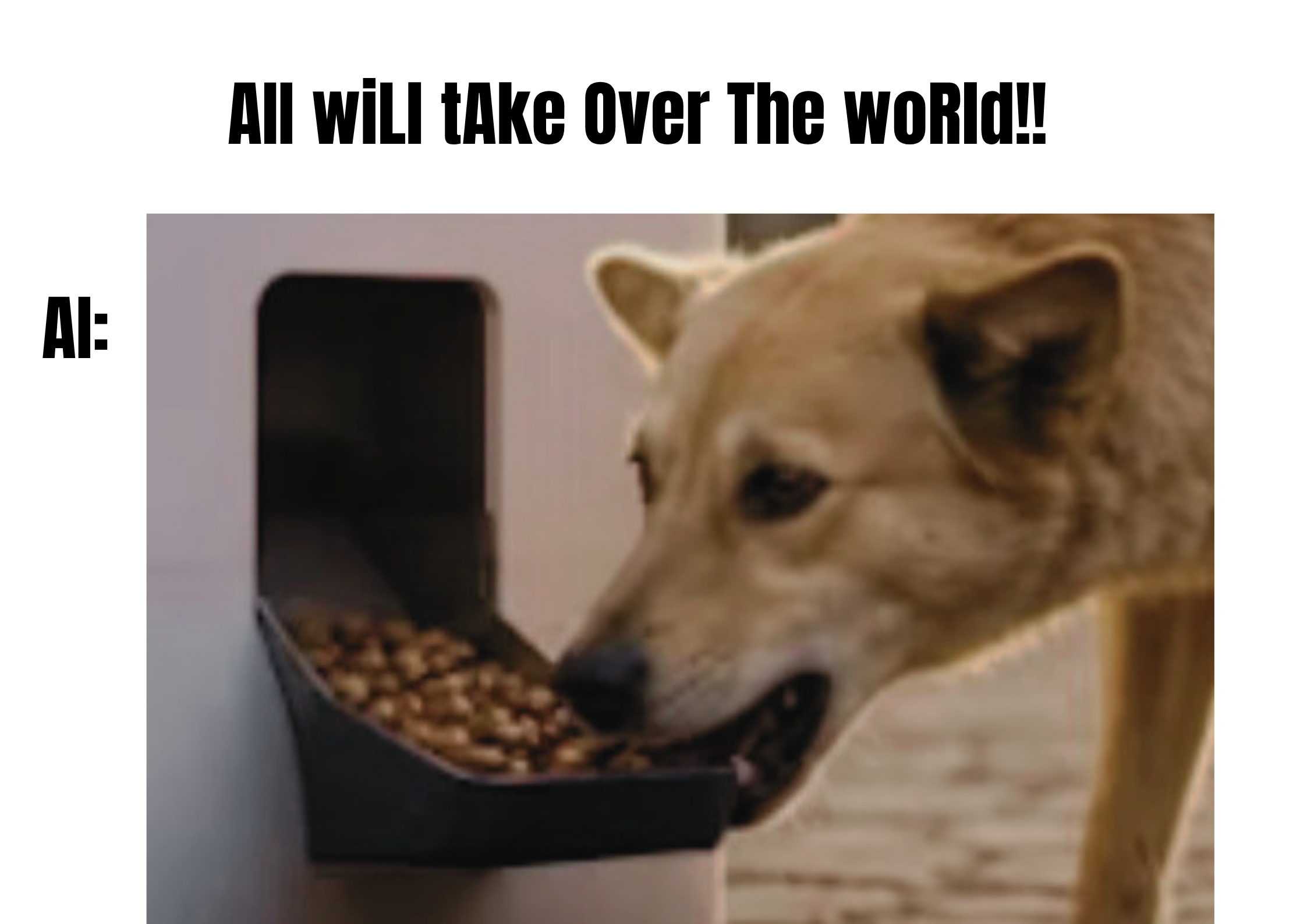 dog Blank Meme Template