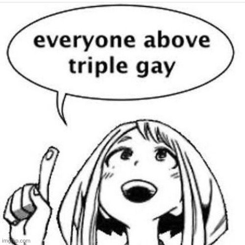 Everyone above Triple gay | image tagged in everyone above triple gay | made w/ Imgflip meme maker
