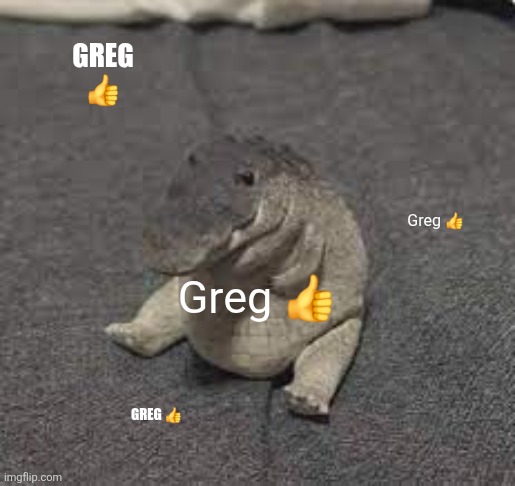 Idk | Greg 👍; Greg 👍; Greg 👍; Greg 👍 | image tagged in greg,random,idk | made w/ Imgflip meme maker