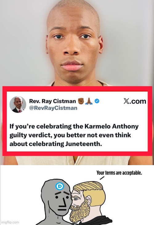 Done and done. | image tagged in your terms are acceptable,memes,democrats,karmelo anthony,murder,juneteenth | made w/ Imgflip meme maker