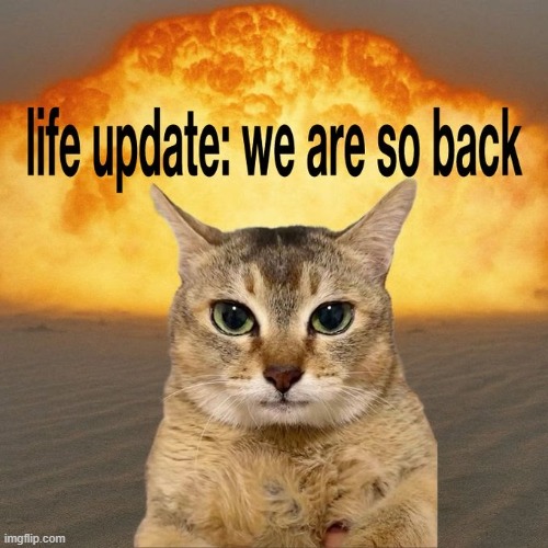 image tagged in rmk | made w/ Imgflip meme maker