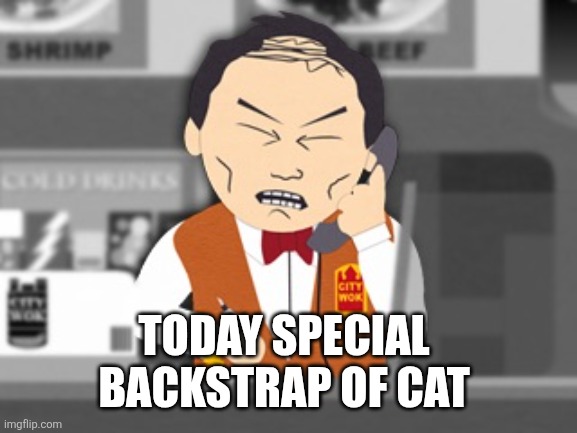 SP China man | Today special 
Backstrap of cat | image tagged in sp china man | made w/ Imgflip meme maker