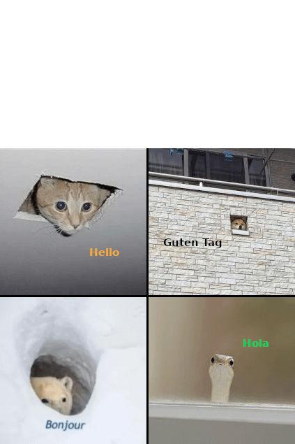 Animals greeting in different languages Blank Meme Template