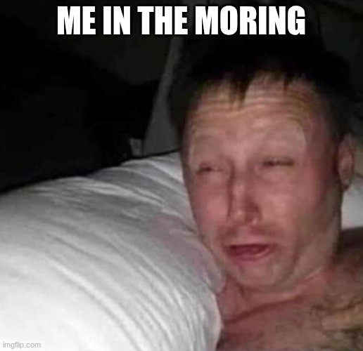 me in the moring | me in the moring | image tagged in sleepy guy | made w/ Imgflip meme maker