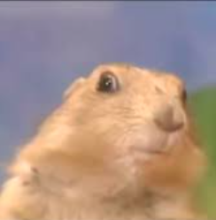 Side Eye Chipmunk Blank Meme Template