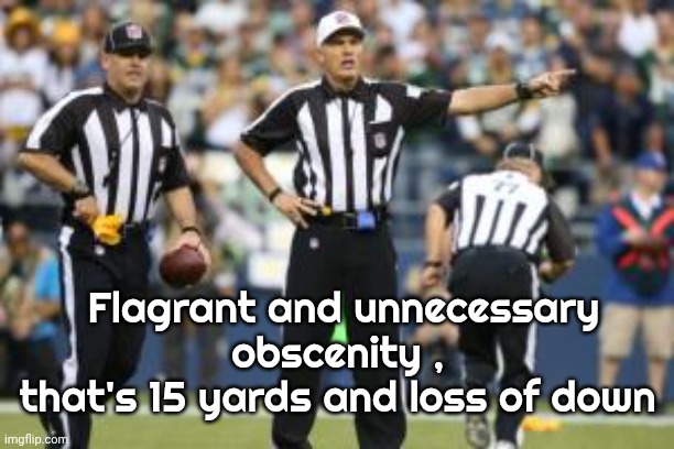 nfl referee  | Flagrant and unnecessary obscenity , 
that's 15 yards and loss of down | image tagged in nfl referee | made w/ Imgflip meme maker