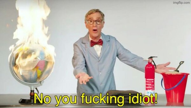 No you f*cking idiot! | image tagged in no you f cking idiot | made w/ Imgflip meme maker