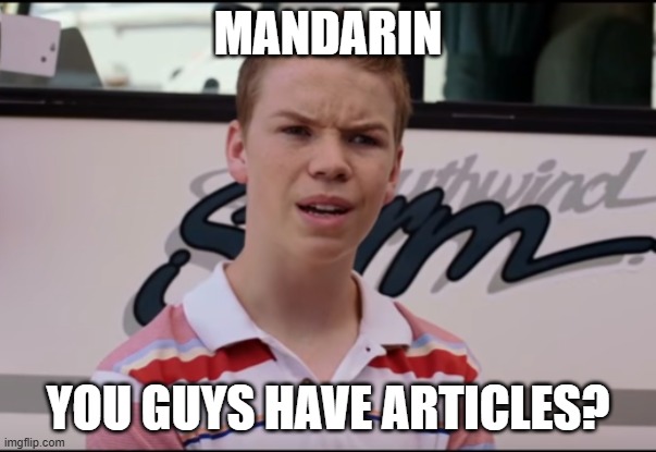 Will Poulter meme | Mandarin; You guys have articles? | image tagged in will poulter meme | made w/ Imgflip meme maker