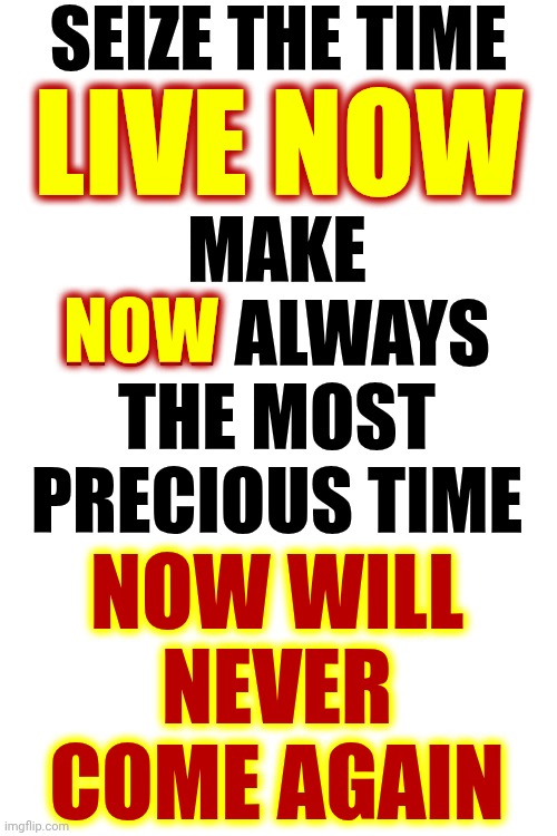 The Inner Light | Seize the time; Live now; Make now always the most precious time; NOW; Now will never come again | image tagged in memes,seize the day,live now,now is all there is,right now,procrastination is a dream killer | made w/ Imgflip meme maker
