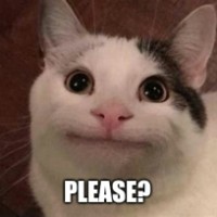 pls polite cat Blank Meme Template