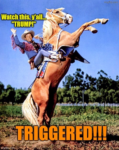 image tagged in trump triggered | made w/ Imgflip meme maker