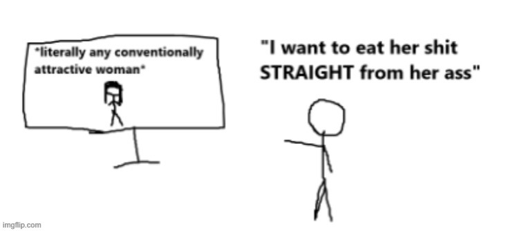 Literally any conventionally attractive woman | image tagged in literally any conventionally attractive woman | made w/ Imgflip meme maker