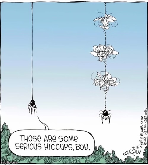 Good luck making a web Bob | image tagged in comics,spiders,hiccups,silk | made w/ Imgflip meme maker