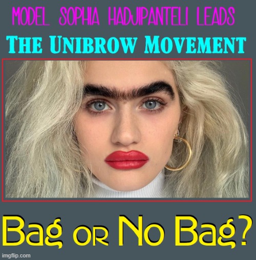 What Do You Say.... You Like or Not? | image tagged in vince vance,model,eyebrows,unibrow,memes,new look | made w/ Imgflip meme maker
