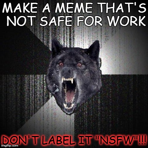 NSFW Wolf | MAKE A MEME THAT'S NOT SAFE FOR WORK DON'T LABEL IT "NSFW"!!! | image tagged in memes,insanity wolf | made w/ Imgflip meme maker