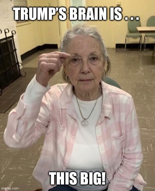 Woman Measuring Donald Trump’s Brain | Trump’s brain is . . . This big! | image tagged in woman,fingers,trump is a moron,donald trump is an idiot,trump sucks | made w/ Imgflip meme maker