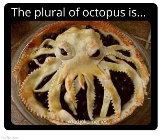Mmmm, pie… | image tagged in repost,octopus,plural,pie,octopi | made w/ Imgflip meme maker