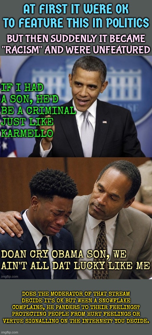 Making the internet safe from hurt feelings | At first it were ok to feature this in Politics; But then suddenly it became "racism" and were unfeatured; Does the moderator of that stream decide it's ok but when a snowflake complains, he panders to their feelings? Protecting people from hurt feelings or virtue signalling on the internet? You decide. | image tagged in au1v3p jpg | made w/ Imgflip meme maker