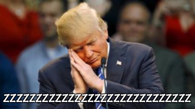 Trump Sleeping  | ZZZZZZZZZZZZZZZZZZZZZZZZZZZZZ | image tagged in trump sleeping | made w/ Imgflip meme maker