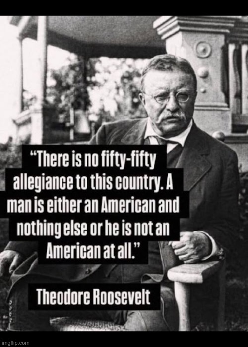 They want to bring a third world outlook with them instead of trying to assimilate intothe country and become a real American | image tagged in political meme,teddy roosevelt,no fifty fifty allegiance,american or not,the choice,not an american | made w/ Imgflip meme maker