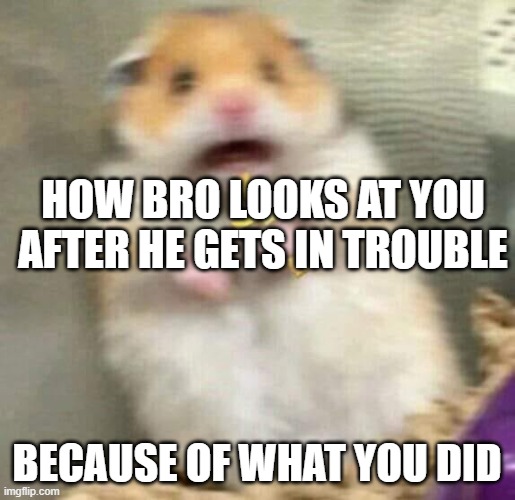 AHAHAHA | how bro looks at you after he gets in trouble; because of what you did | image tagged in scared hamster with cross | made w/ Imgflip meme maker