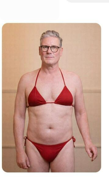 Starmer Bikini Blank Meme Template