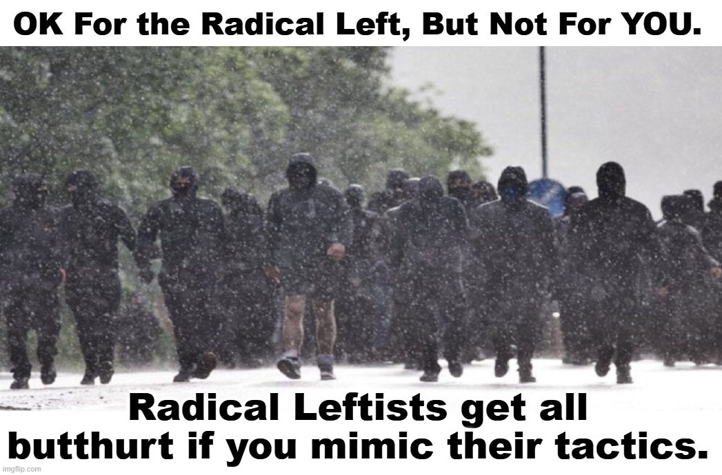 Radical Leftists get all butthurt if you mimic their tactics. | image tagged in radical left,butthurt liberals,butthurt much,butthurt dweller,butthurt,stupid liberals | made w/ Imgflip meme maker