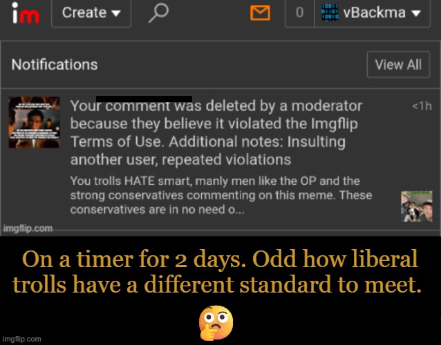 Liberal harassment by trolls on conservative memes AOK.... | On a timer for 2 days. Odd how liberal 
trolls have a different standard to meet. 🤔 | image tagged in liberals vs conservatives,comment timer,freedom of speech,double standards,trolls,liberal hypocrisy | made w/ Imgflip meme maker