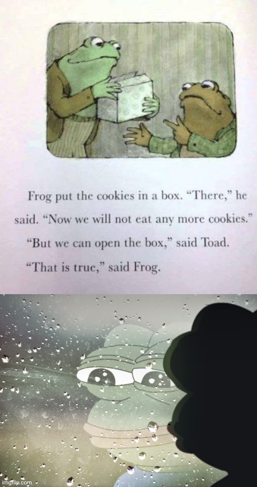 Frog | image tagged in sad frog pepe,frog,cookie | made w/ Imgflip meme maker