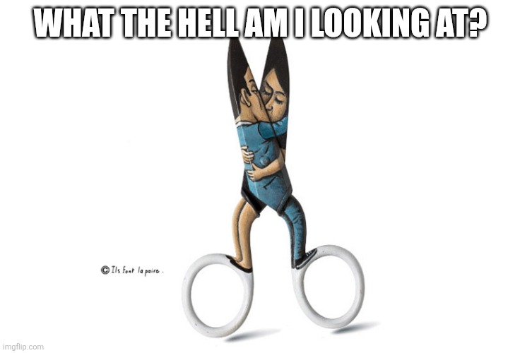 What the frick? | What the hell am I looking at? | image tagged in household-items-funny-comical-characters-1 jpg | made w/ Imgflip meme maker