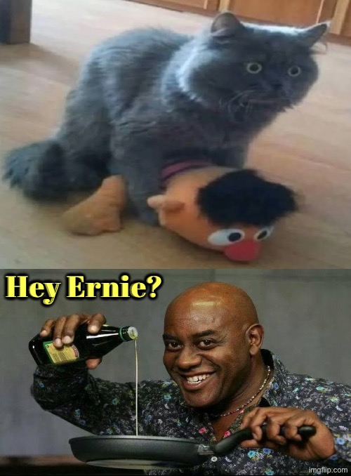 Hey Ernie | Hey Ernie? | image tagged in what did i just see,ernie and bert,cats,pervert,prepare yourself,prepare your anus | made w/ Imgflip meme maker