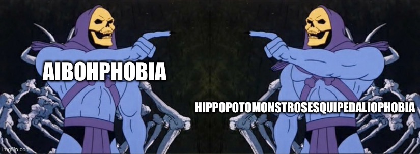 You have nothing to Fear But Words | hippopotomonstrosesquipedaliophobia; Aibohphobia | image tagged in skeletor pointing,words,fear,phobia,long,palindrome | made w/ Imgflip meme maker
