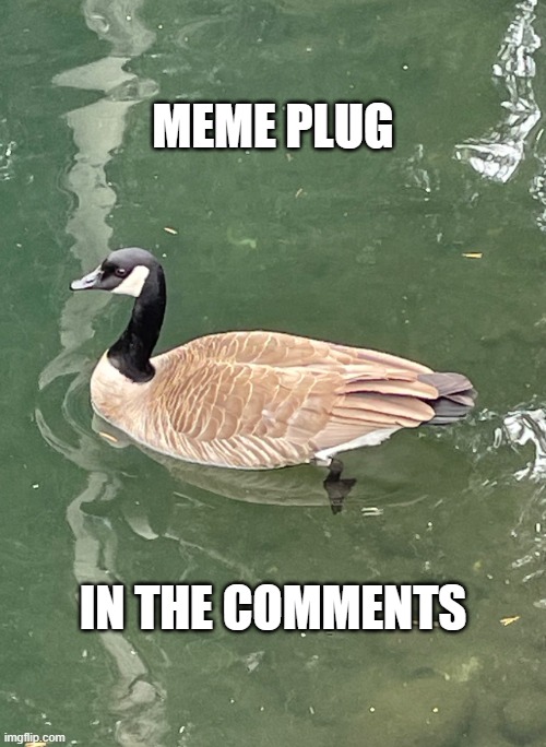 Memes | Meme plug; In the comments | image tagged in goose,meme plug | made w/ Imgflip meme maker