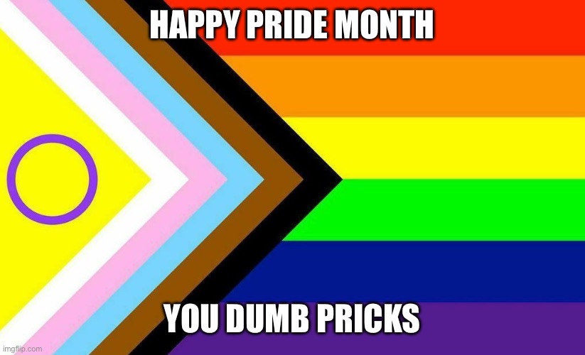 Progress Pride Flag | Happy pride month; You dumb pricks | image tagged in progress pride flag | made w/ Imgflip meme maker