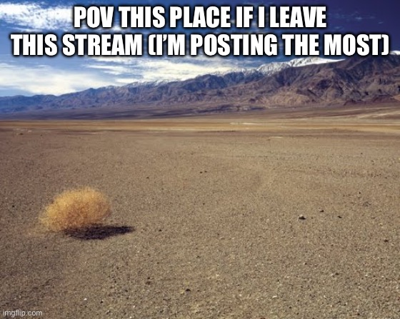 desert tumbleweed | POV this place if I leave this stream (I’m posting the most) | image tagged in desert tumbleweed | made w/ Imgflip meme maker