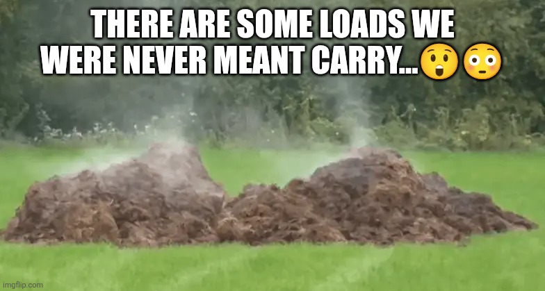 There are some loads we were never meant carry...?? | image tagged in steaming pile of horse manure horseshit bullshit | made w/ Imgflip meme maker
